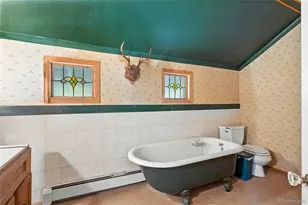 1493 Silver Valley Rd, Silver Plume, CO 80476 - Photo 46