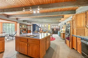 1493 Silver Valley Rd, Silver Plume, CO 80476 - Photo 20