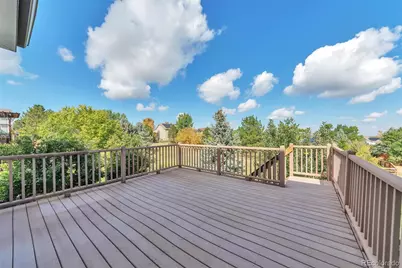 5639 Jaguar Way, Lone Tree, CO 80124 - Photo 30