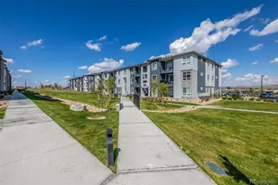 16841 Askins Loop, Parker, CO 80134 - Photo 32