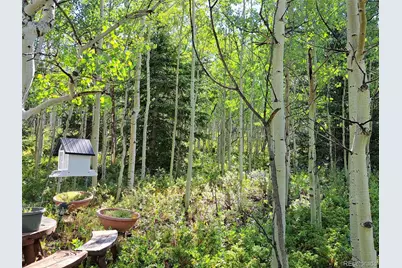 528 Glacier Peak View, Jefferson, CO 80456 - Photo 32