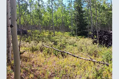 528 Glacier Peak View, Jefferson, CO 80456 - Photo 26