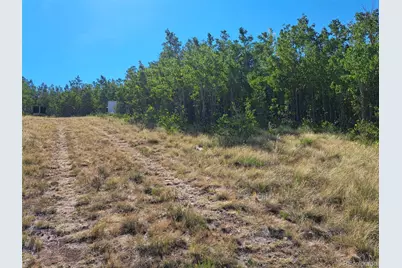 528 Glacier Peak View, Jefferson, CO 80456 - Photo 40