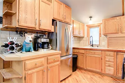 249 Mesa Drive, Evergreen, CO 80439 - Photo 20