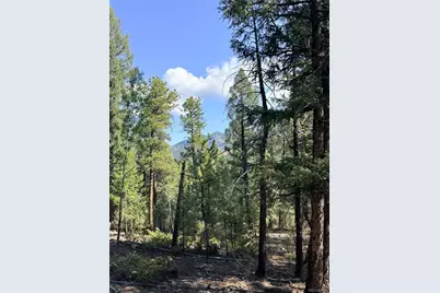 12907 S Cindy Avenue, Pine, CO 80470 - Photo 4