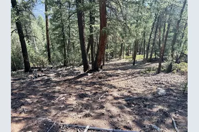 12907 S Cindy Avenue, Pine, CO 80470 - Photo 14