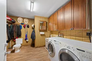 10547 Gillian Ave, Franktown, CO 80116 - Photo 40