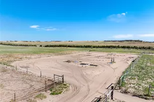 10547 Gillian Ave, Franktown, CO 80116 - Photo 46