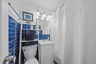 505 N Logan Street, Denver, CO 80203 - Photo 8