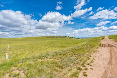 635 Hereford Drive, Hartsel, CO 80449 - Photo 4