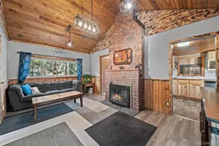 55887 US Hwy 285, Shawnee, CO 80475 - Photo 10