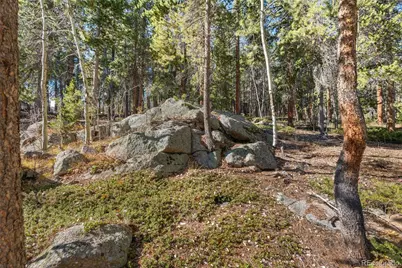 726 Mountain Meadows Drive, Black Hawk, CO 80422 - Photo 38