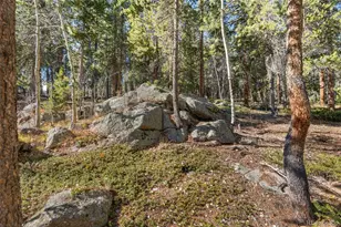 726 Mountain Meadows Dr, Black Hawk, CO 80422 - Photo 38