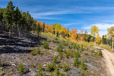 003 Seldom Seen Road, Golden, CO 80403 - Photo 8