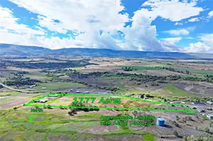 15510 59 1/2 Rd, Collbran, CO 81624 - Photo 24