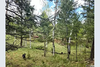 1845 Burland Drive, Bailey, CO 80421 - Photo 8