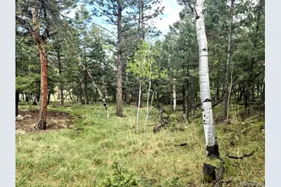 1845 Burland Drive, Bailey, CO 80421 - Photo 16