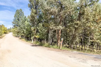 1845 Burland Drive, Bailey, CO 80421 - Photo 18