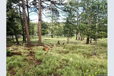 1845 Burland Drive, Bailey, CO 80421 - Photo 4