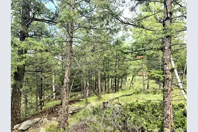 1845 Burland Drive, Bailey, CO 80421 - Photo 2