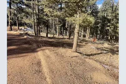 1873 N Mountain Estates Road, Florissant, CO 80816 - Photo 20