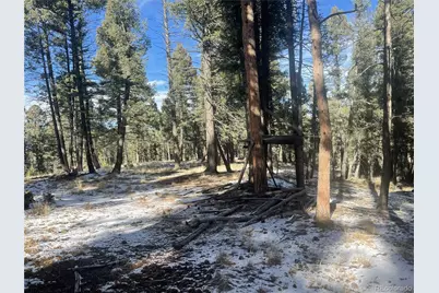 1873 N Mountain Estates Road, Florissant, CO 80816 - Photo 10