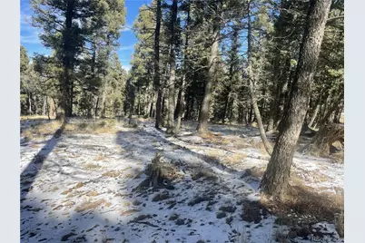 1873 N Mountain Estates Road, Florissant, CO 80816 - Photo 14