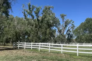 4725 County Road 107, Alamosa, CO 81101 - Photo 6