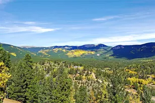 168 Wise Rd, Bailey, CO 80421 - Photo 20