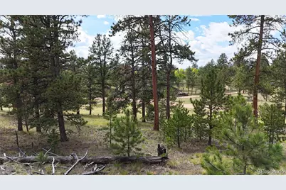 2265 Vagabond Creek Drive, Lake George, CO 80827 - Photo 8