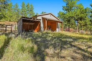725 Buddy Rd, Bailey, CO 80421 - Photo 40