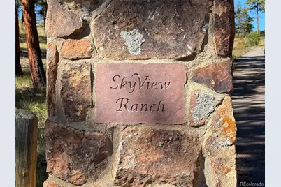 725 Buddy Road, Bailey, CO 80421 - Photo 46