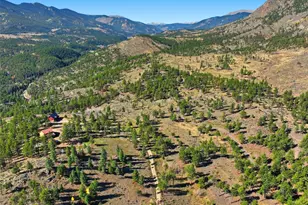 725 Buddy Rd, Bailey, CO 80421 - Photo 30