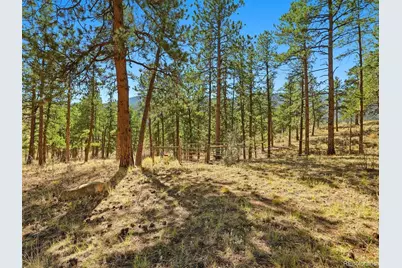 725 Buddy Road, Bailey, CO 80421 - Photo 44