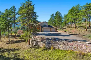 725 Buddy Rd, Bailey, CO 80421 - Photo 28