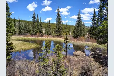 365 Gold Pan Lane, Fairplay, CO 80440 - Photo 44