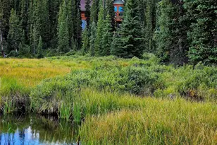 365 Gold Pan Ln, Fairplay, CO 80440 - Photo 40