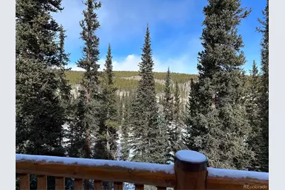 365 Gold Pan Lane, Fairplay, CO 80440 - Photo 36