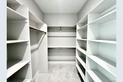 3155 Promise Point, Colorado Springs, CO 80921 - Photo 20