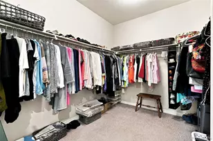 7147 Hyland Hills St, Castle Pines, CO 80108 - Photo 24