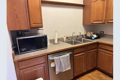 1625 N Downing Street, Denver, CO 80218 - Photo 14