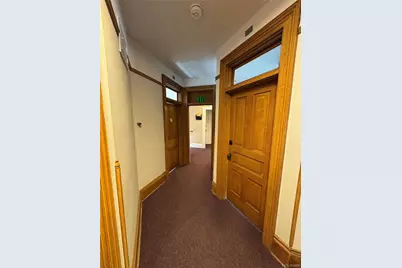 1625 N Downing Street, Denver, CO 80218 - Photo 22