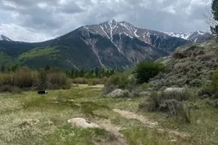 149 Lang St, Twin Lakes, CO 81251 - Photo 30