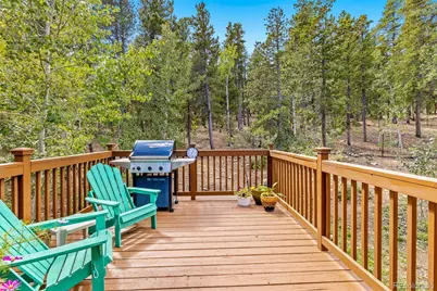 798 S Dory Lakes Drive, Black Hawk, CO 80422 - Photo 16