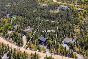 798 S Dory Lakes Dr, Black Hawk, CO 80422 - Photo 42