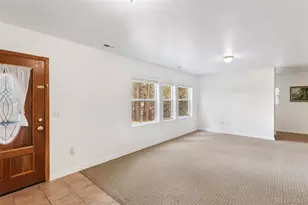 46 Kingston Cir, Florissant, CO 80816 - Photo 26