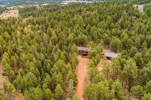 46 Kingston Cir, Florissant, CO 80816 - Photo 42