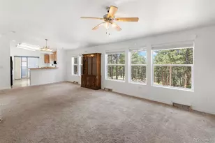 46 Kingston Cir, Florissant, CO 80816 - Photo 6
