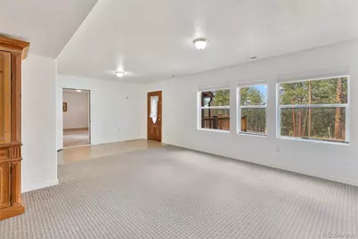 46 Kingston Circle, Florissant, CO 80816 - Photo 28