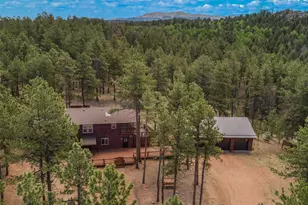 46 Kingston Cir, Florissant, CO 80816 - Photo 44